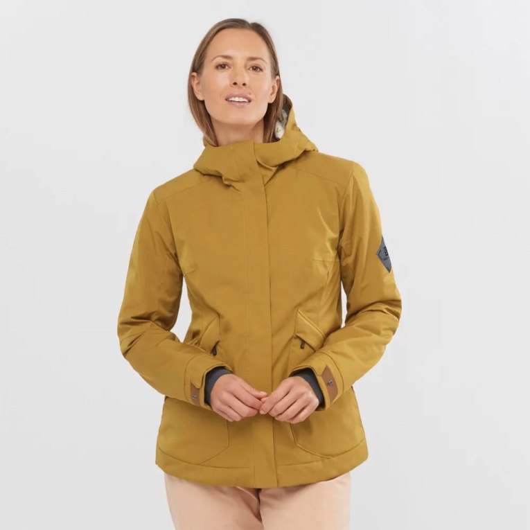 Jaquetas De Esqui Salomon Snow Rebel Insulated Hoodie Feminino Marrom | PT L40856